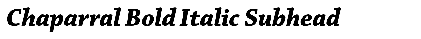 Chaparral Bold Italic Subhead image